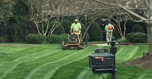 The most obvious benefit of engaging a lawn mowing company is the time you save that could be spent on other activities. Lawn Mowing Grass Cutting Services Raleigh Nc