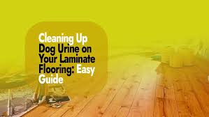 dog urine on your laminate flooring