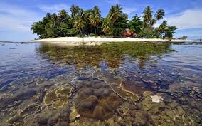 Hasil gambar untuk Kawasan Konservasi Perairan, Pesisir dan Pulau-pulau Kecil: Paradigma, Perkembangan dan Pengelolaannya