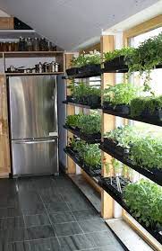 56 Indoor Garden In Kitchen Ideas In