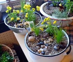 Miniature Garden Creating Your Own