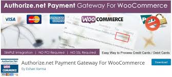 Which woocommerce and wp payment gateway plugin or extension do you use? 5 Best Woocommerce Payment Gateway Plugins 2021 Betterstudio