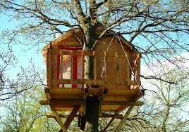 17 Awesome Treehouse Ideas For You And