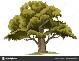 vector file big oak tree stock vector