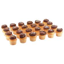 fresh white cupcakes with chocolate icing