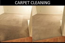 carpet cleaning