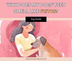 why do dogs feet smell like fritos