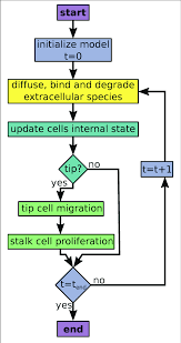 Flowchart Of The Agent Based Model Simulations Colors