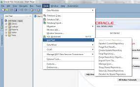 unit testing your pl sql with oracle