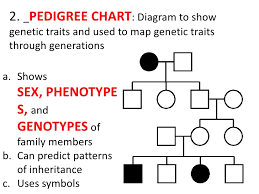 Human Genetic Inheritance Patterns