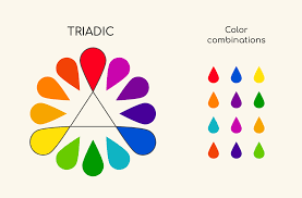 rules of color combination amadine