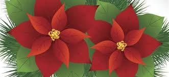 Imprime y colorea gratis dibujos de flores de pascua y celebra con los niños la navidad. La Flor De Nochebuena Leyenda Navidena De Mexico