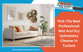 professional wet and dry upholstery