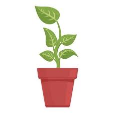 Plant Pot Icon Cartoon Vector Summer