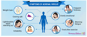 Image result for Adrenal Fatigue