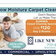 the best 10 carpet cleaning in willow