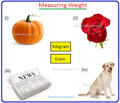 weight unit weights for measuring