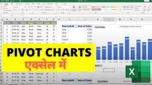 excel pivot chart in hindi