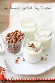 thick homemade yogurt with dairy free