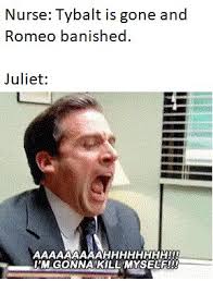 There is a lot of diversity, and doge memes can be very creative, as this alternative version of romeo and juliet demonstrates. Teacher Challenged Me To Make A Meme For Romeo And Juliet Before School Ends Oc Album On Imgur