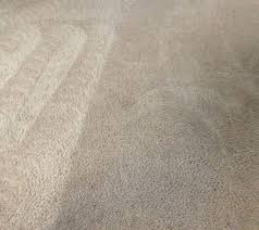 carpet cleaning complete carpet