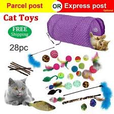 If you decide to buy a kitten and you have other pets, do not leave her alone with them until you are sure she will be safe with them.16 x research source. Bulk Buy Cat Kitten Toys Rod Fur Mice Bells Balls Catnip 28 Items Lovely Pet Toy Ebay