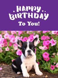 Create funny birthday cards with pictures of meme dogs with your wishes. Adorable Puppy Flowers Happy Birthday Card Birthday Greeting Cards By Davia
