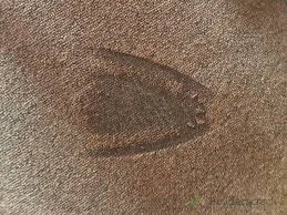 iron burn carpet repair 525823