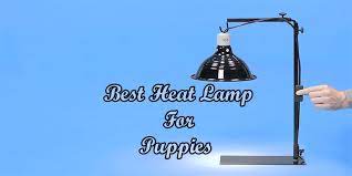 Heat lamps are incandescent bulbs which have been designed to produce radiation in the infrared area of the spectrum, generating more heat than visible light. 12 Best Heat Lamp For Puppies 2021 Heating Kit For Cold Animky