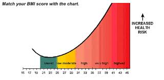 Bmi Calculator