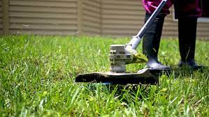 How Winter Lawn Care Services Protect