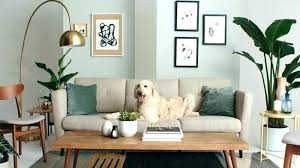 dog proof furniture how to pick