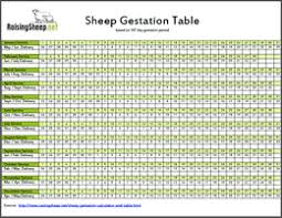 Sheep Gestation Calculator Gestation Table