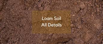 do you use loam soil in your garden if