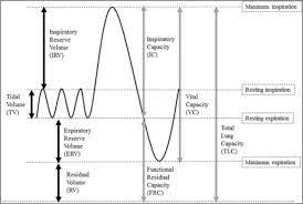 figure standard lung volumes and