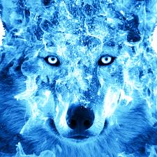 ice fire wolf wallpapers apk