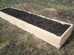 how to plant asparagus in a raised bed