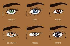 Another common eye shape is downturned eyes. What Is My Eye Shape Everything You Need To Know About Your Eye Shape Makeup For Eye Shape Instyle