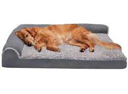 the 14 best calming dog beds of 2024