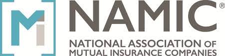 We are the largest u.s. Gfia Global Federation Of Insurance Associations