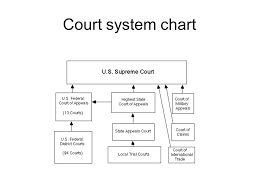 U S Civil Procedure U S Law Practice Court System Chart