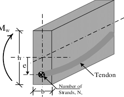 tendon in a prestressed concrete beam