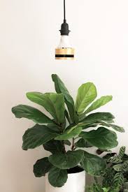 How To Use Grow Lights For Indoor Plants Dossier Blog