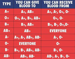 17 Blood Type Donation Flow Chart Blood Type Donation Flow
