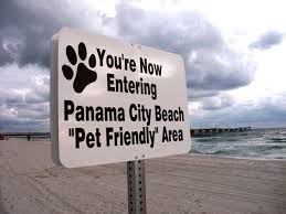 dog friendly beaches in florida