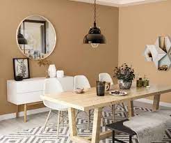 try balsam brown house paint colour