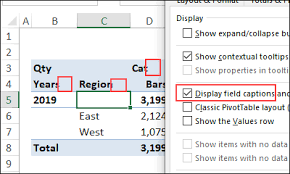 hide excel pivot table ons and