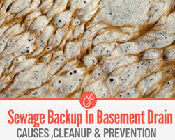 sewage backup in basement floor drain