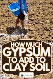 how much gypsum to add to clay soil