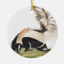 best cute skunk gift ideas zazzle